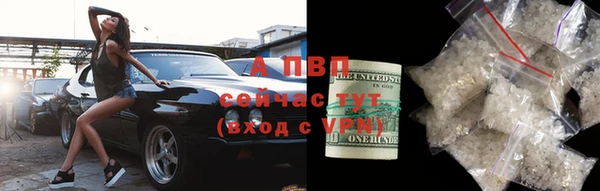 хмурый Арсеньев