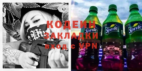 хмурый Арсеньев