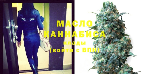 хмурый Арсеньев