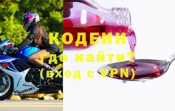 хмурый Арсеньев